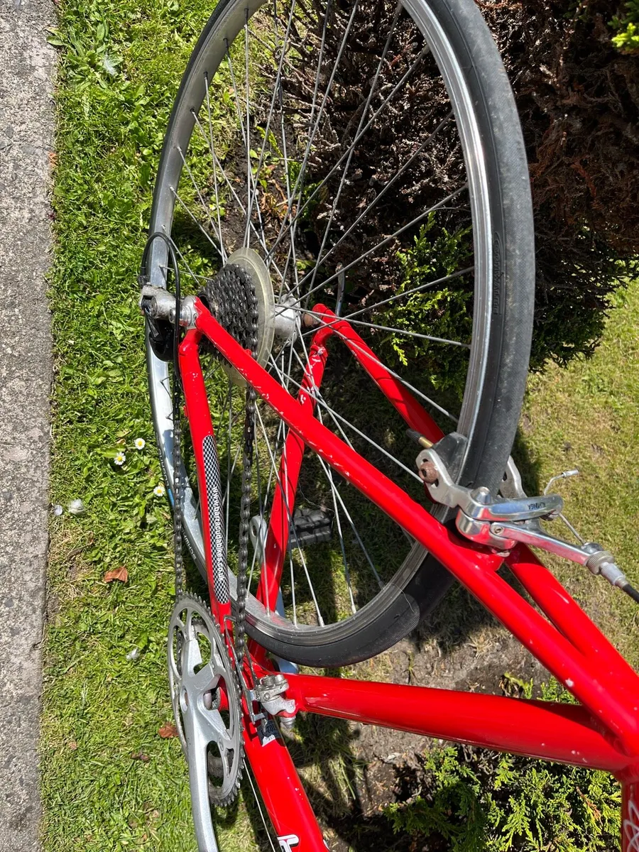 Red racer - Image 4