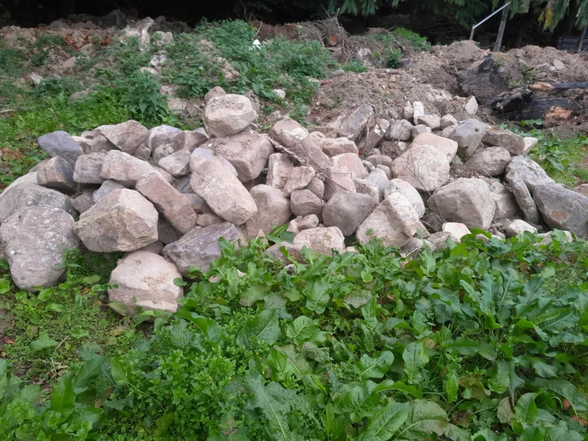 Decorative Stone - Image 1