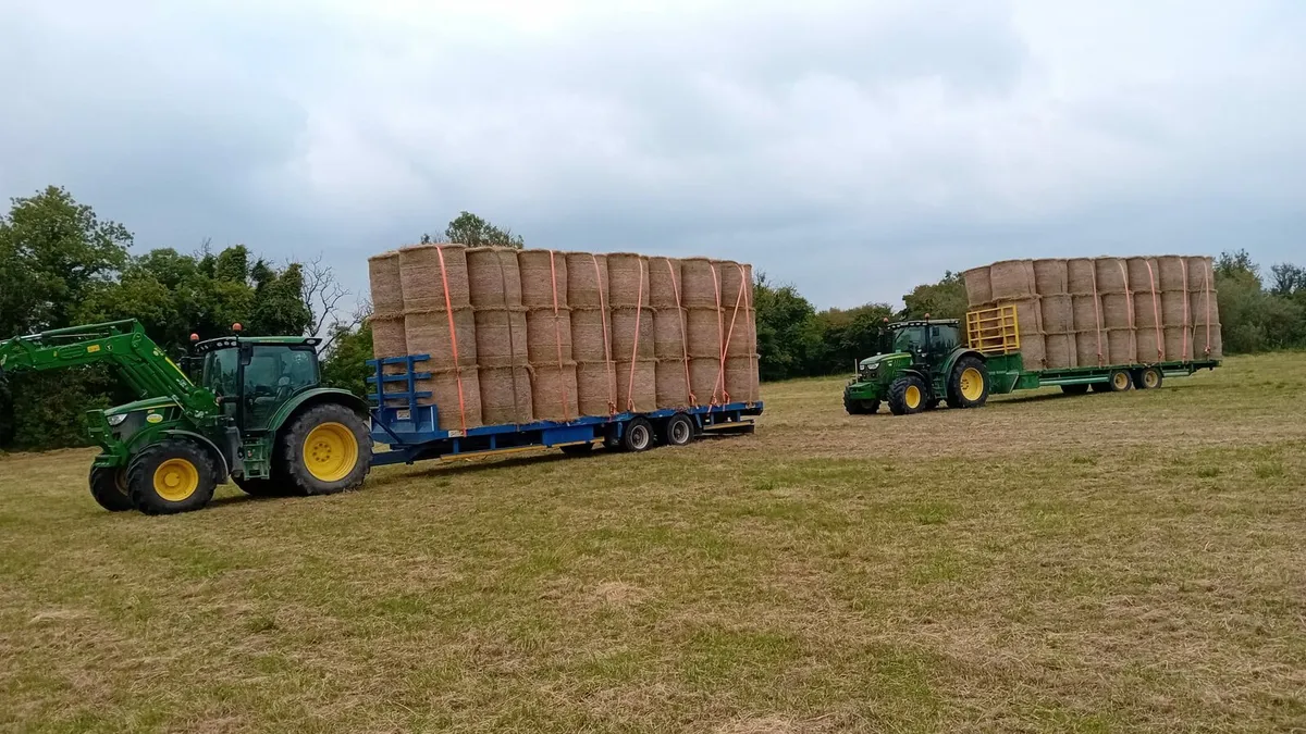 Top Quality Hay.Bargain. Read Add. - Image 1