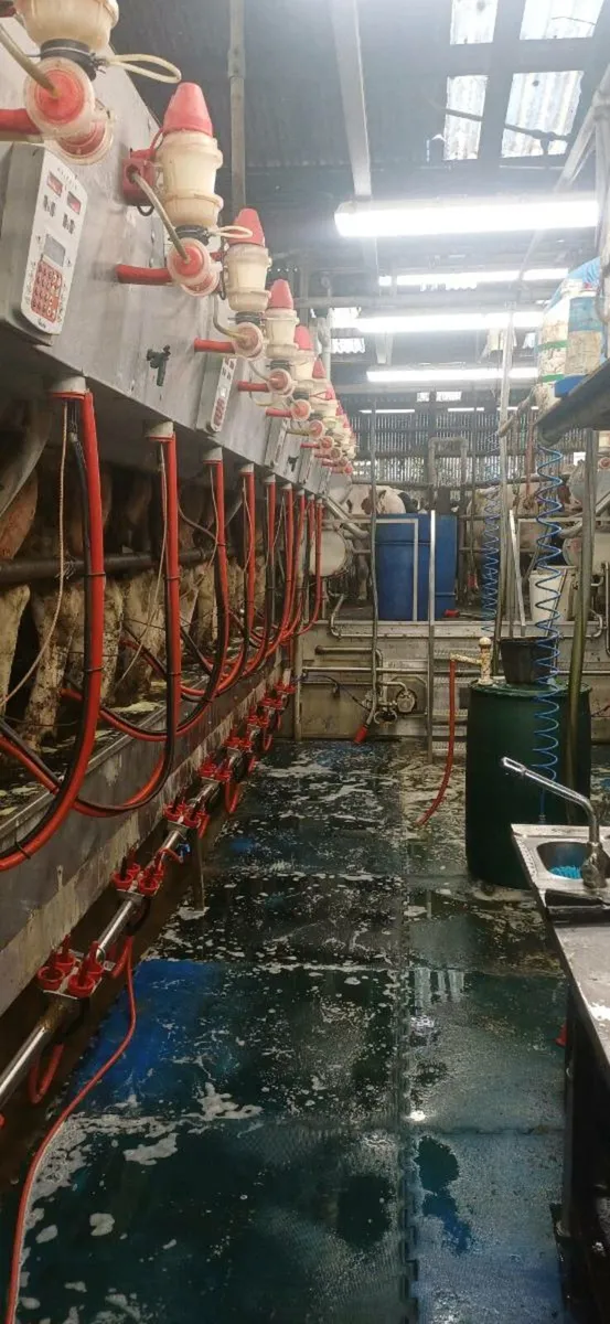 Milking parlour - Image 1
