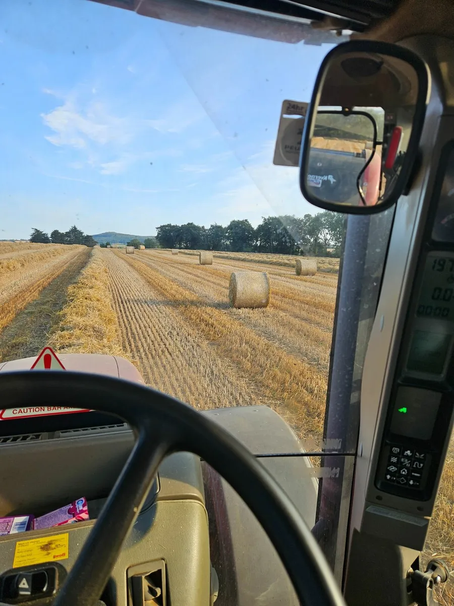 Oaten straw  Camolin - Image 1