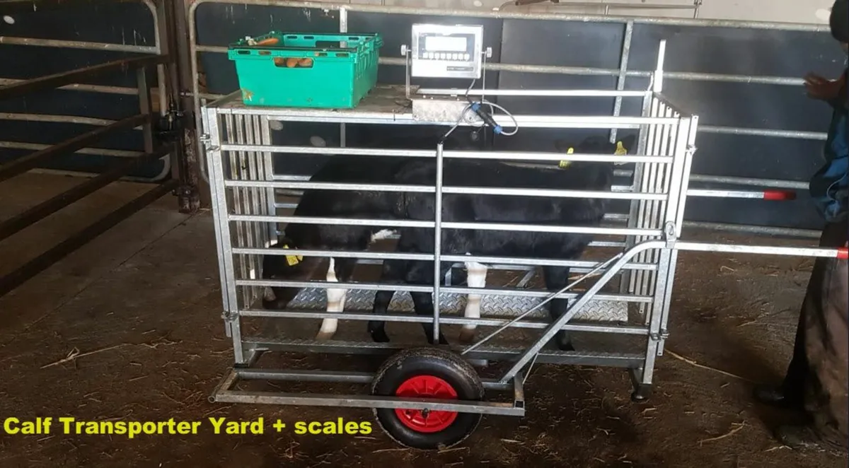 Alpaca llama scale - Image 3