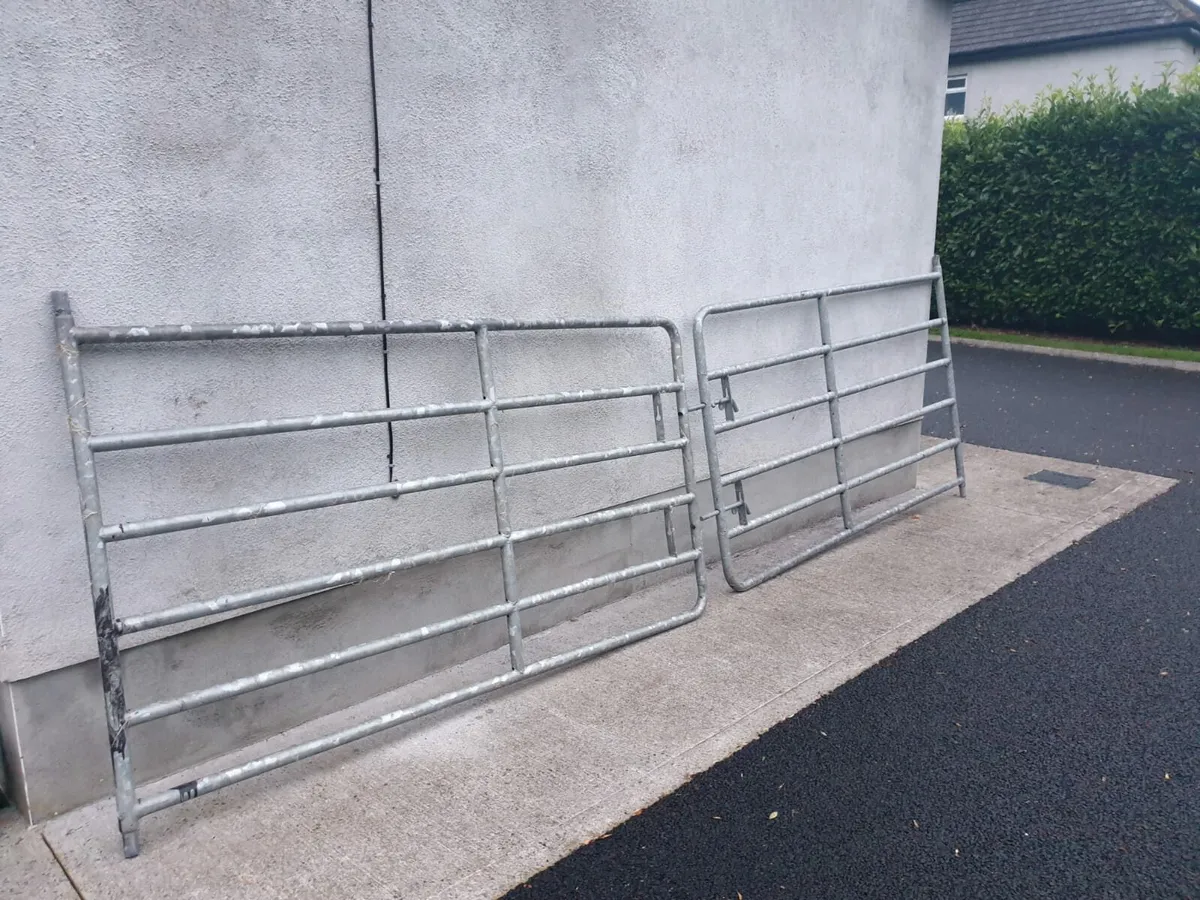 A Pair of Heavy Duty Galvanised 7ft Gates - Image 1
