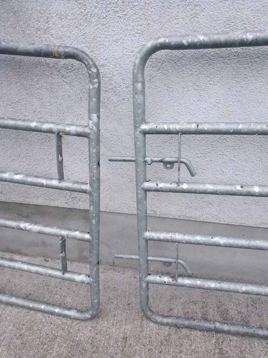 A Pair of Heavy Duty Galvanised 7ft Gates - Image 2
