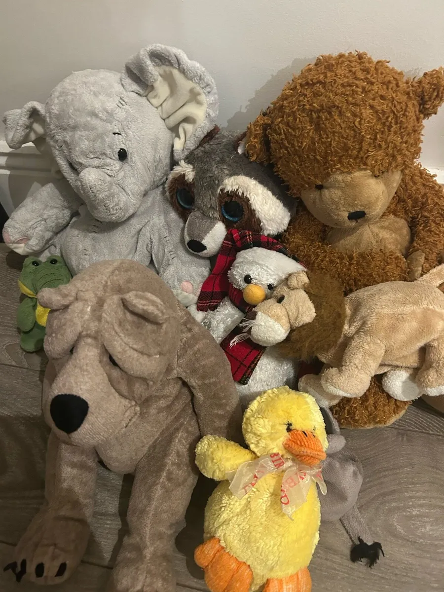 FREE Teddies