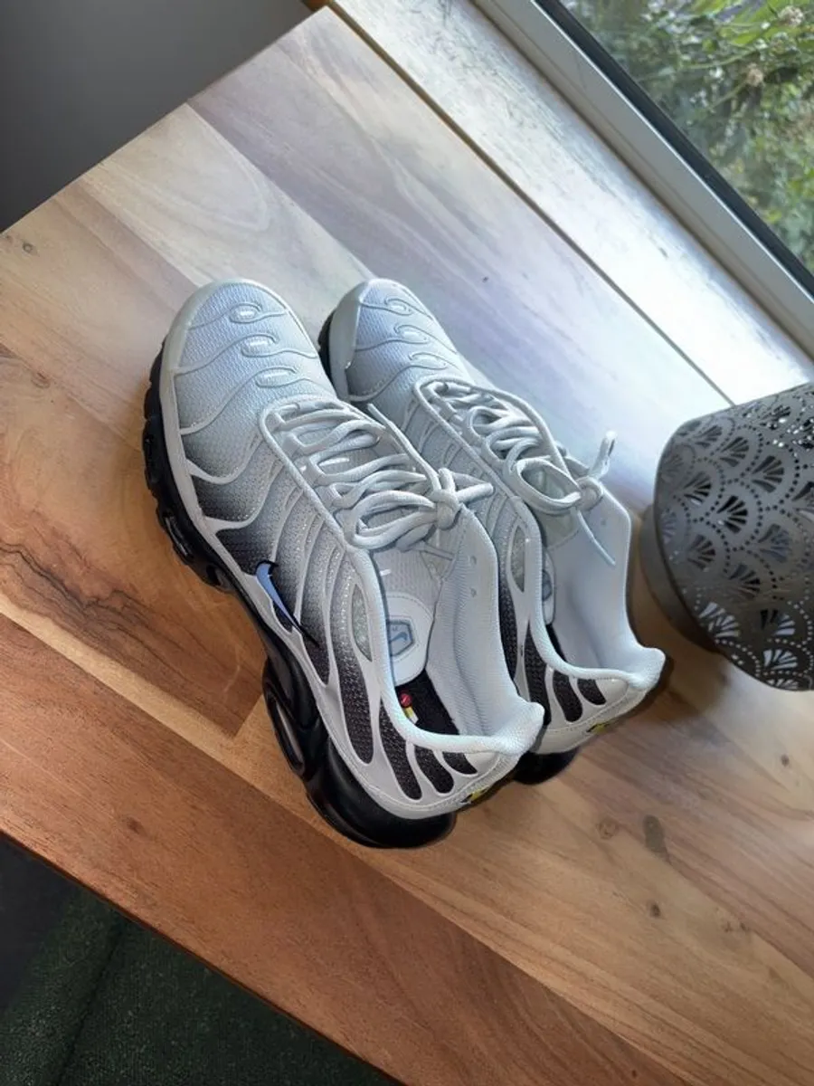 Nike Air Tn's - Image 3