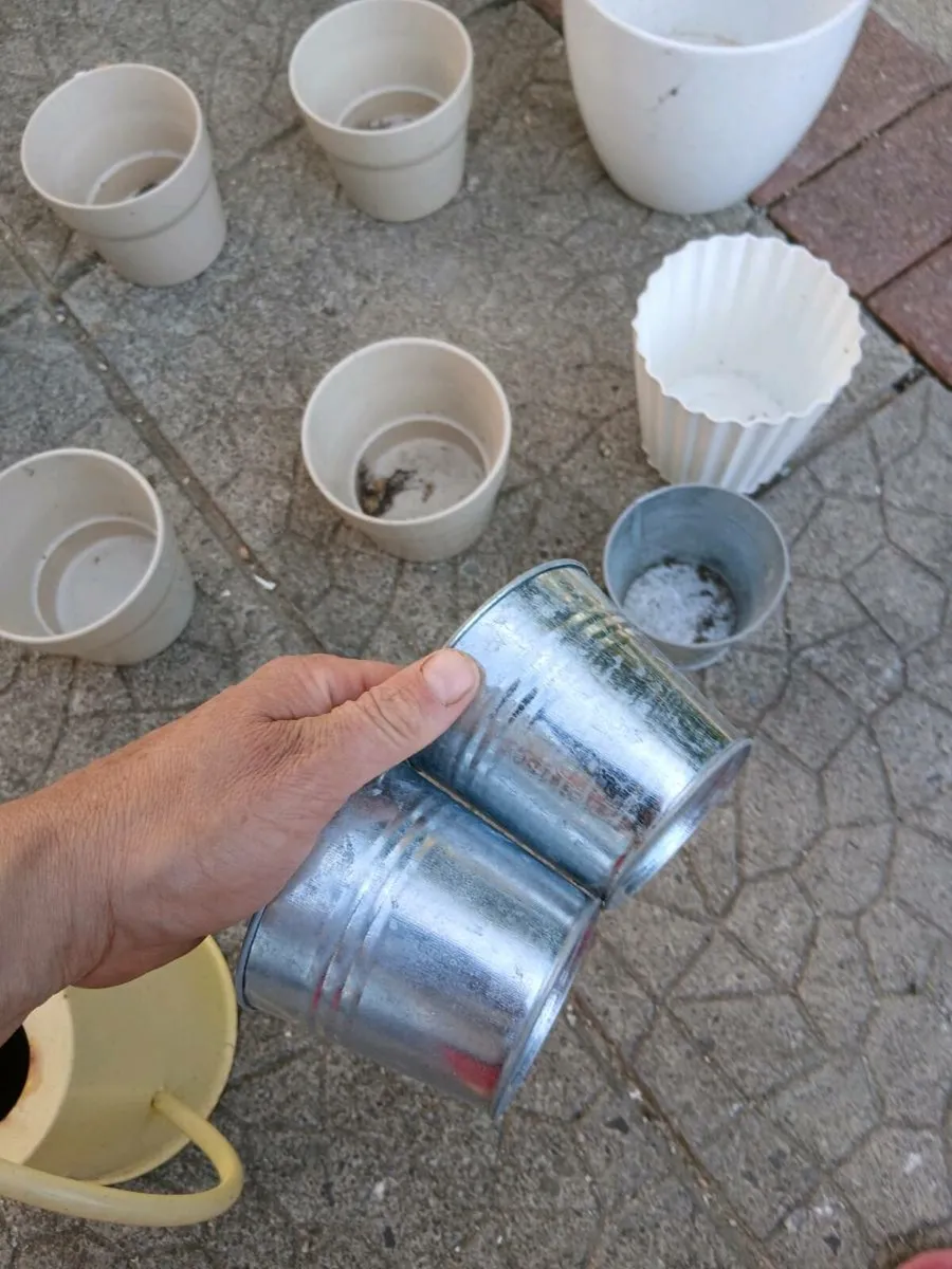 Flower pots - Image 2