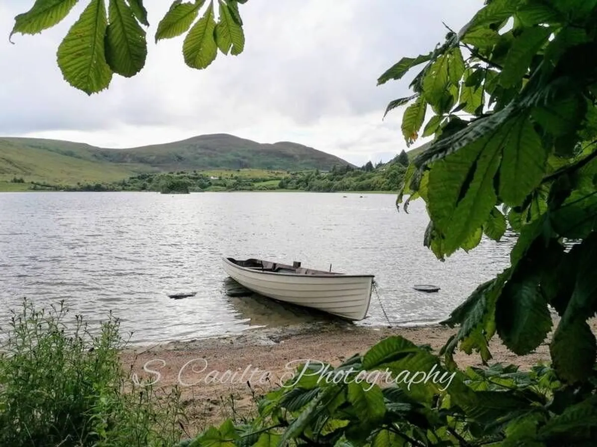 Photography - Image 1