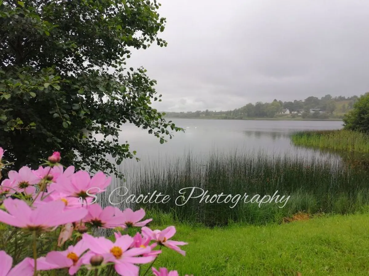 Photography - Image 2