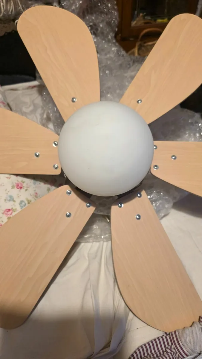Ceiling fan/light - Image 2