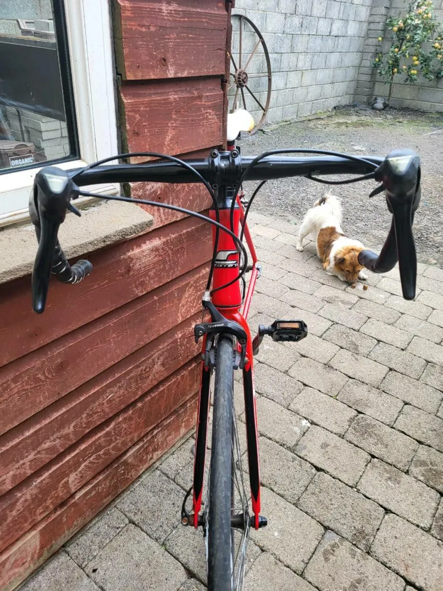 Carrera racer. - Image 2