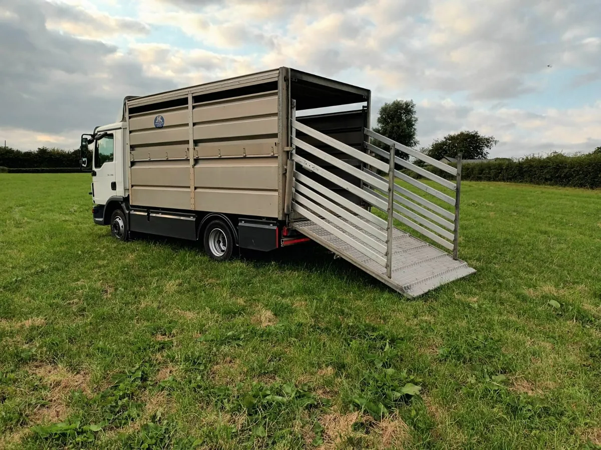 Livestock Lorry - Image 3