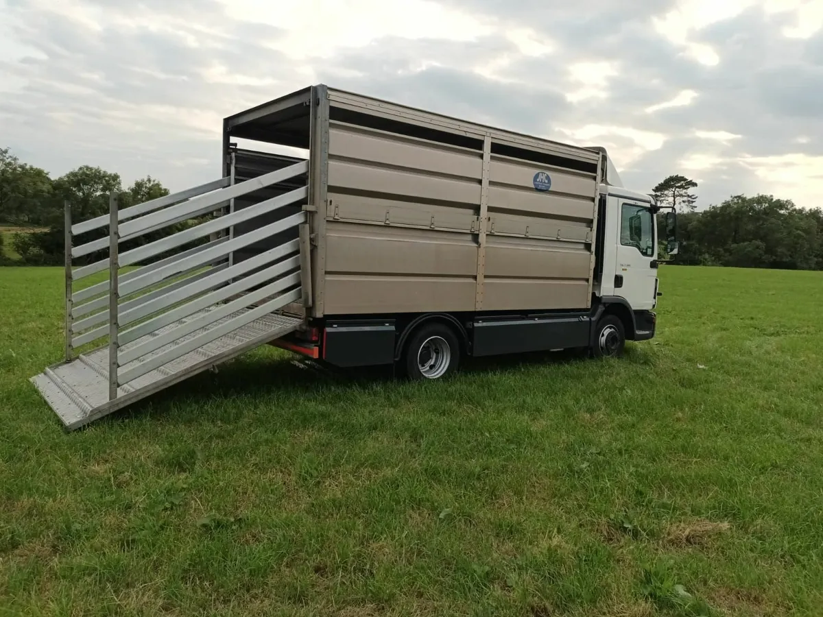 Livestock Lorry - Image 4