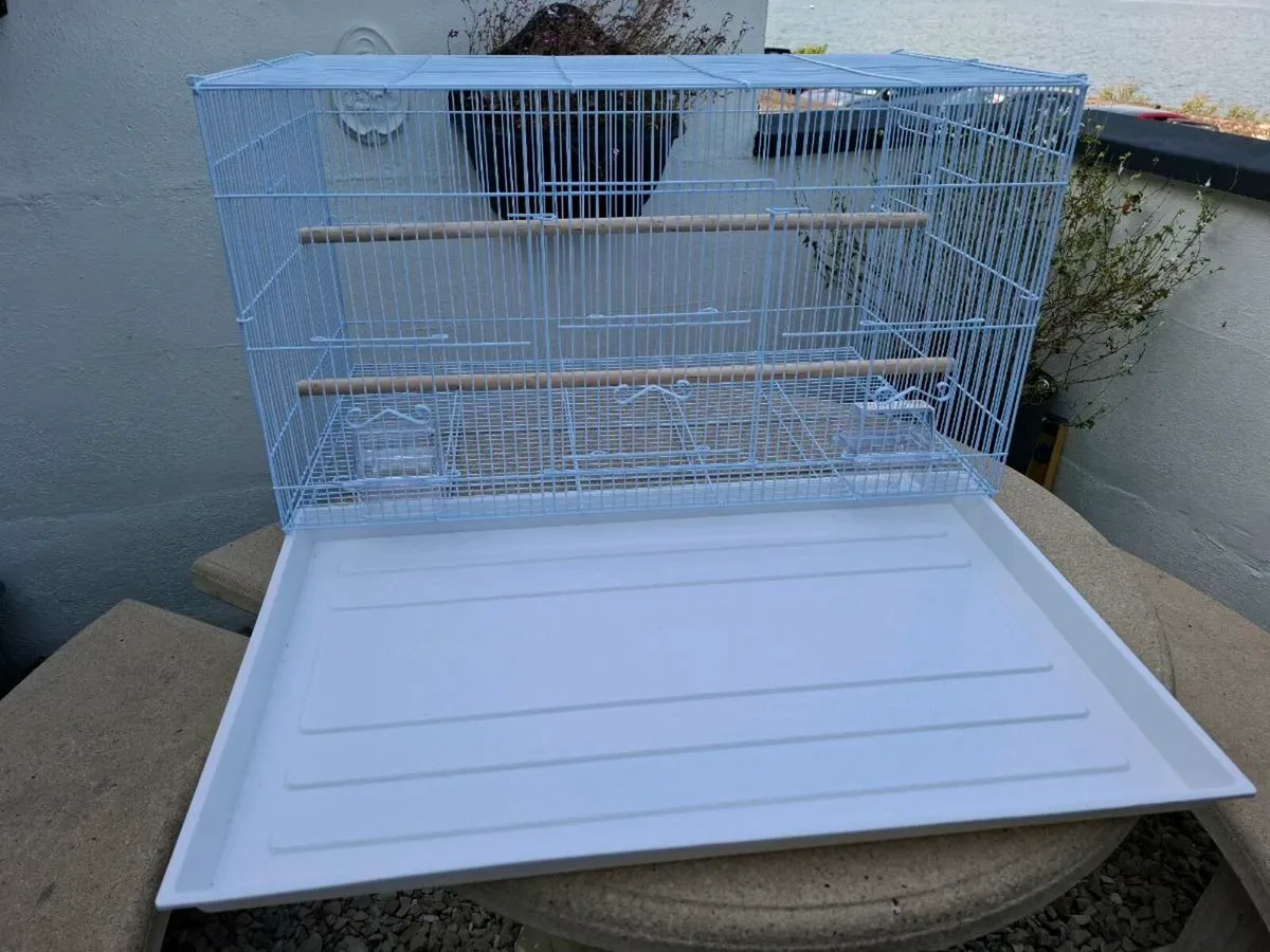 Bird Cage - Image 1