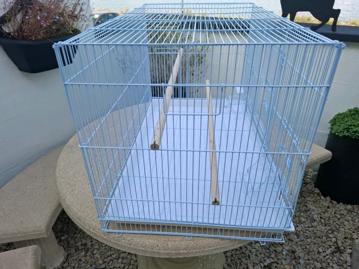 Bird Cage - Image 2