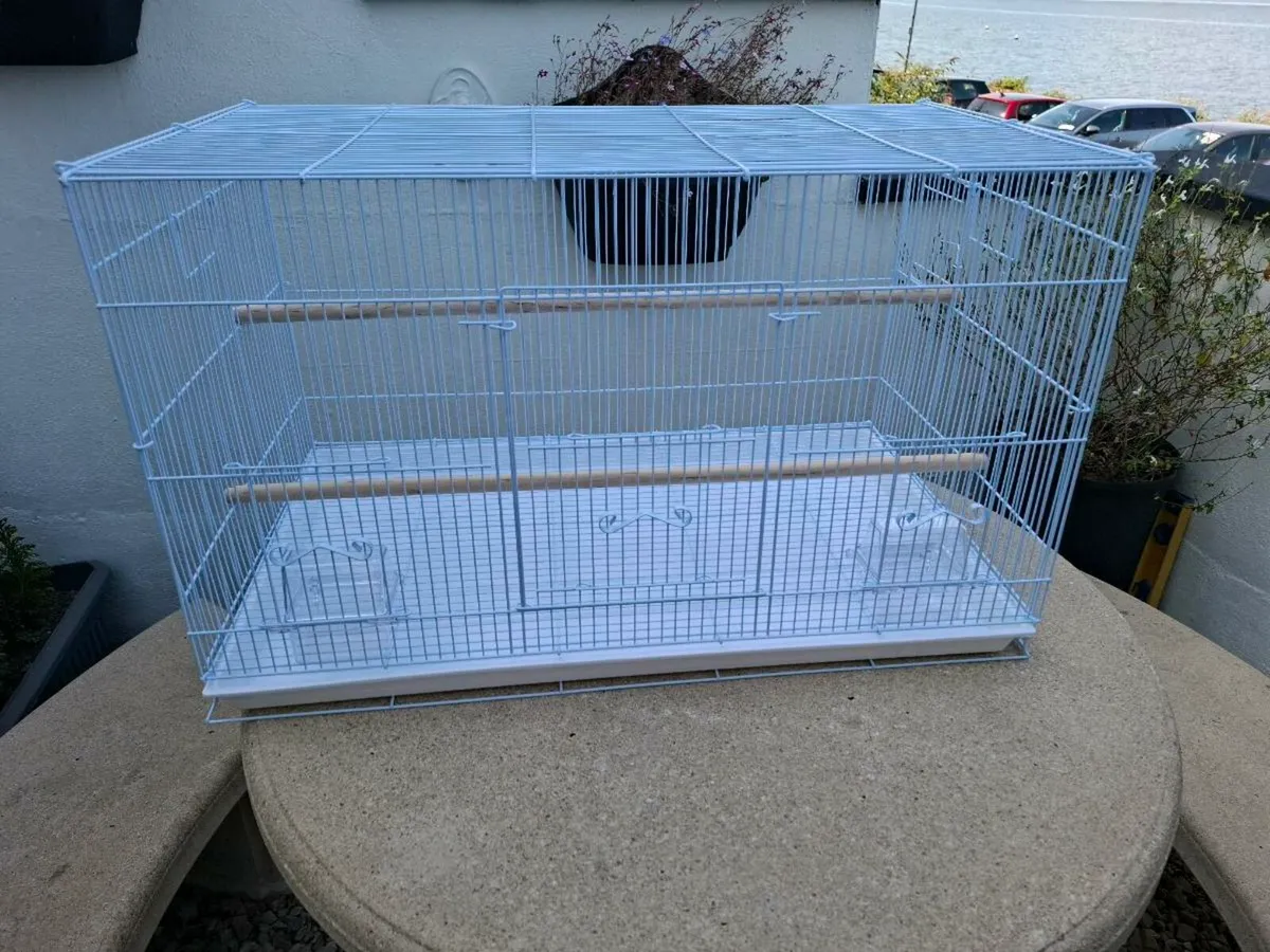 Bird Cage - Image 3