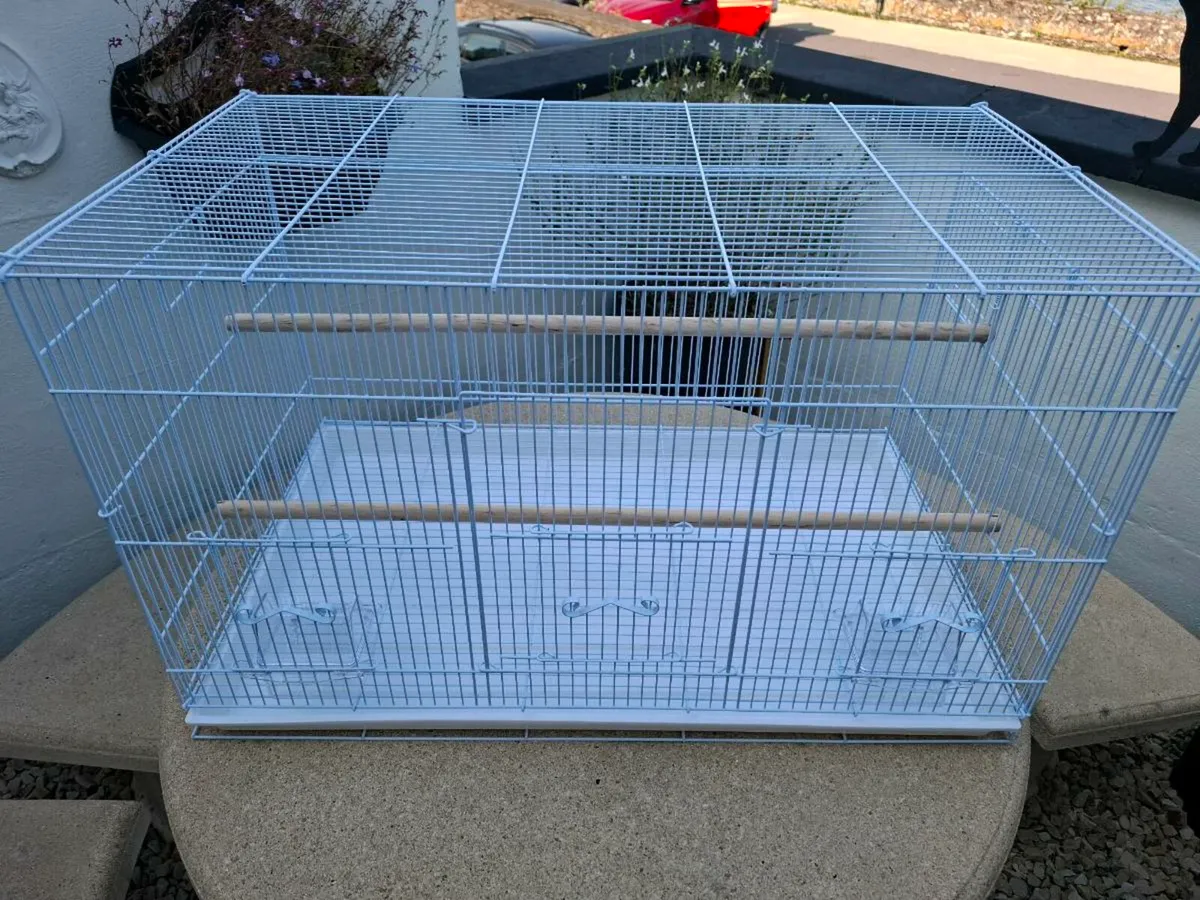 Bird Cage - Image 4