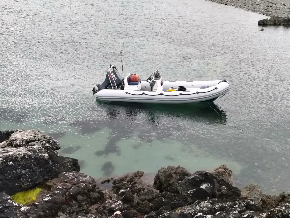Valiant 520 rib - Image 1