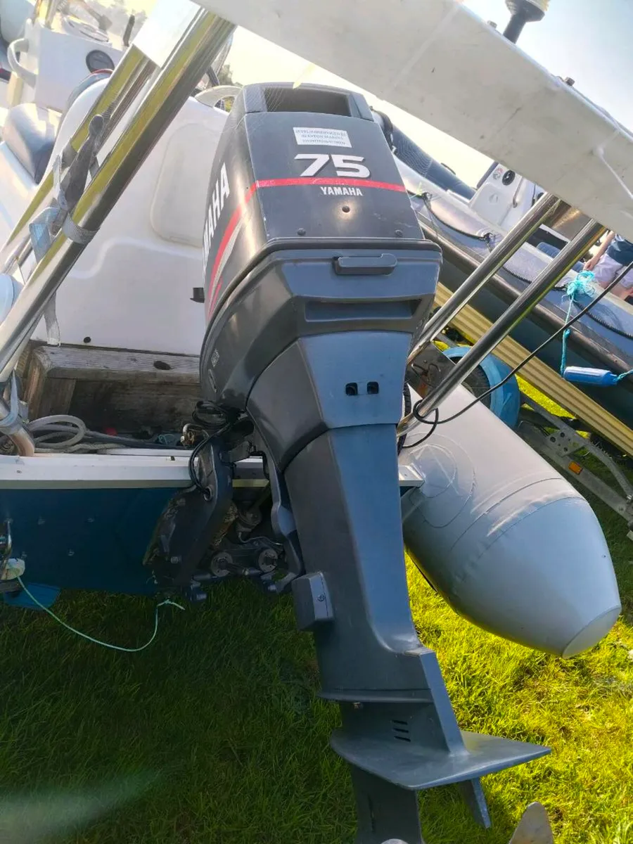 Valiant 520 rib - Image 2