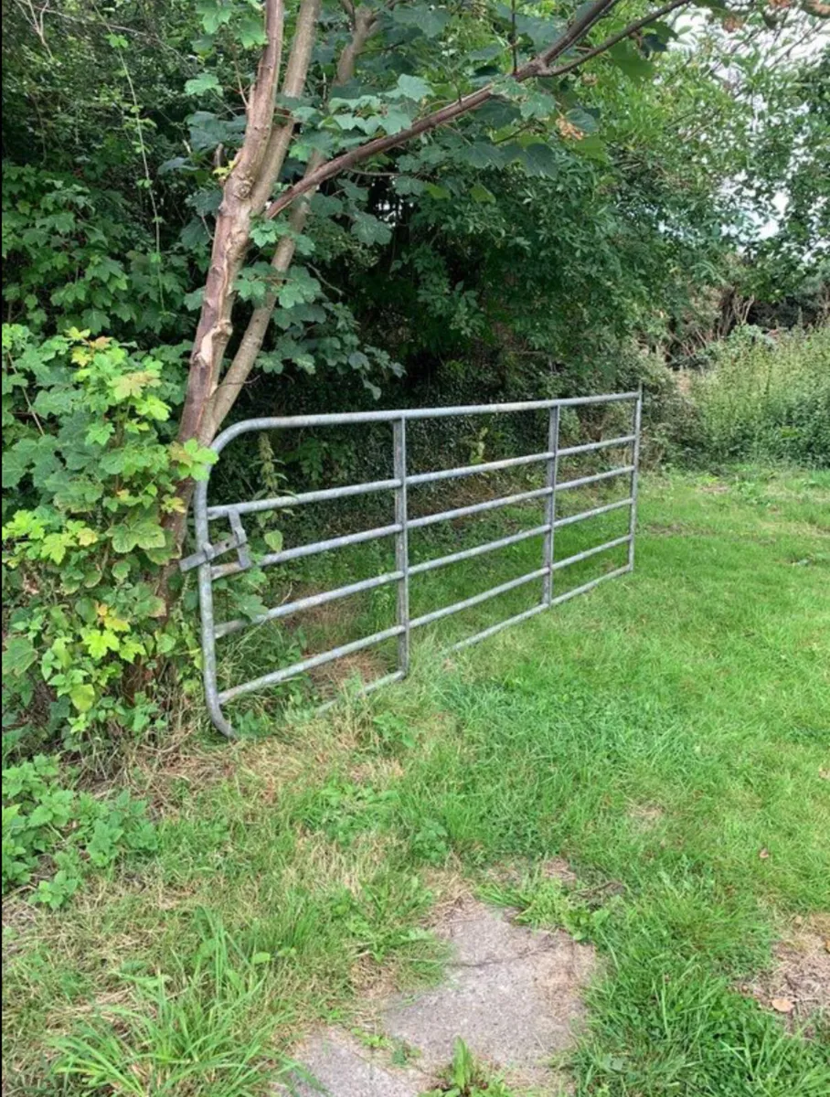 Galvanised gate