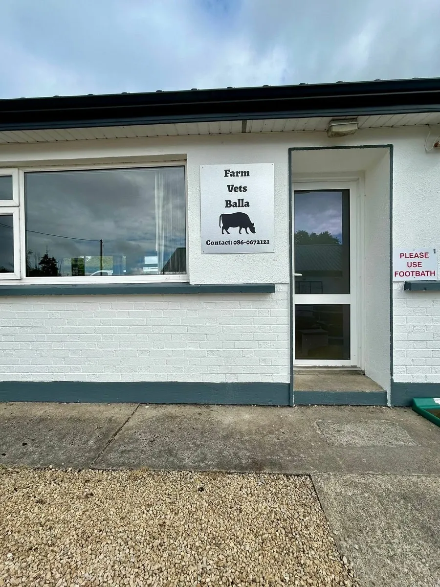Need a vet? - Image 2