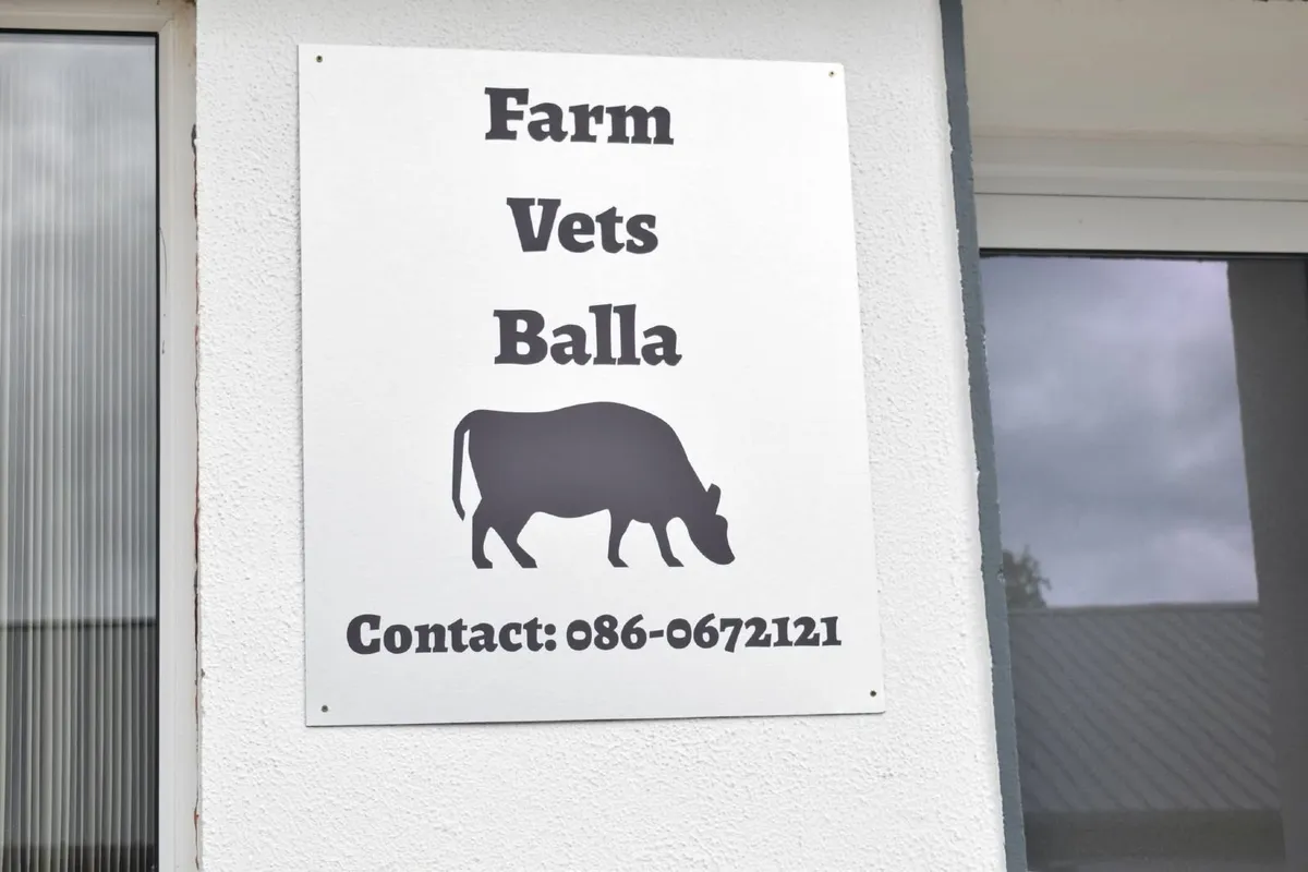 Need a vet? - Image 3