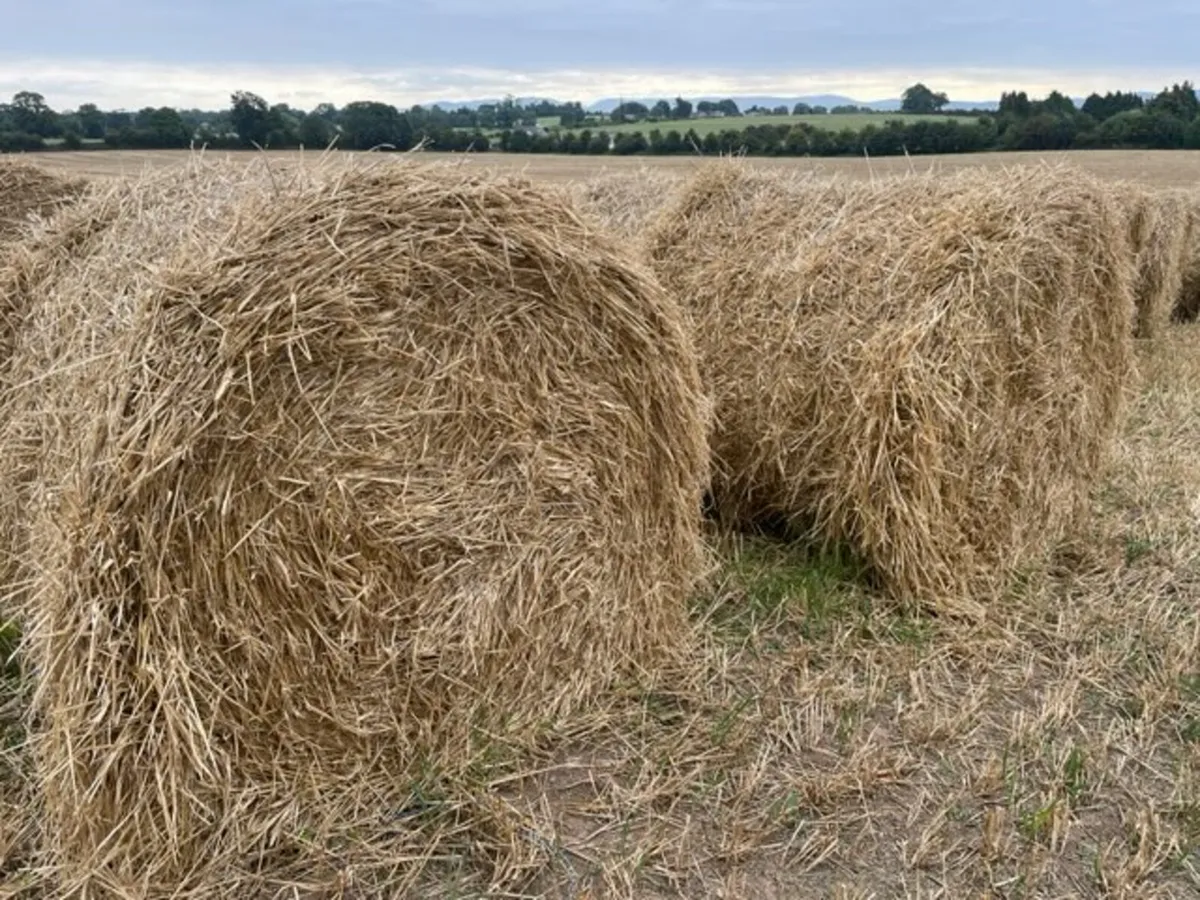 Straw bales - Image 1