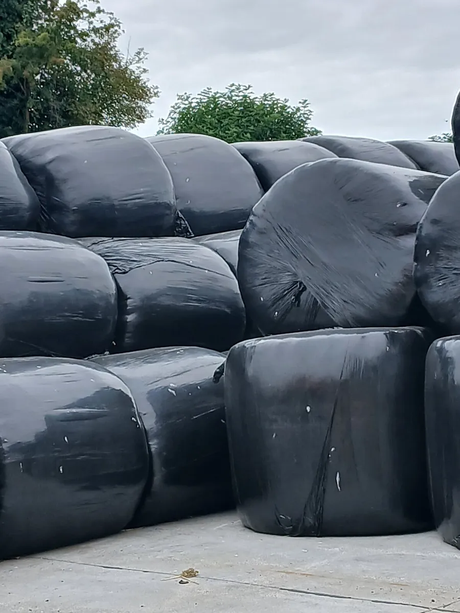 Silage - Image 1