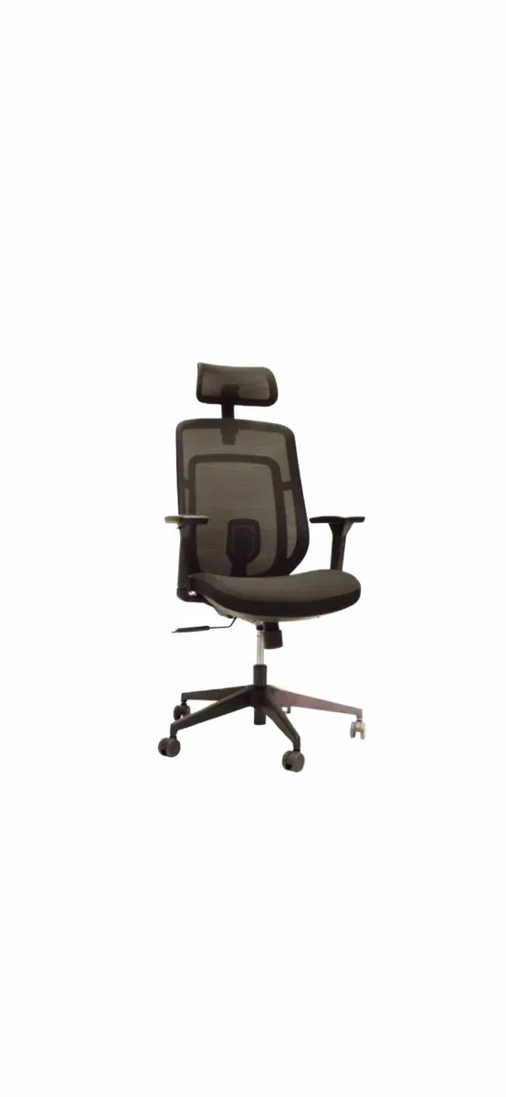 Luan Delta Swivel Chair - Image 1