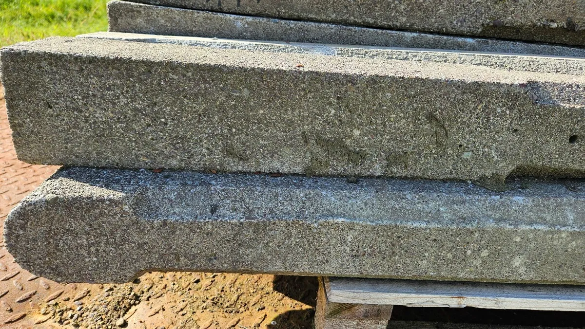 Concrete fencing Posts - Image 2
