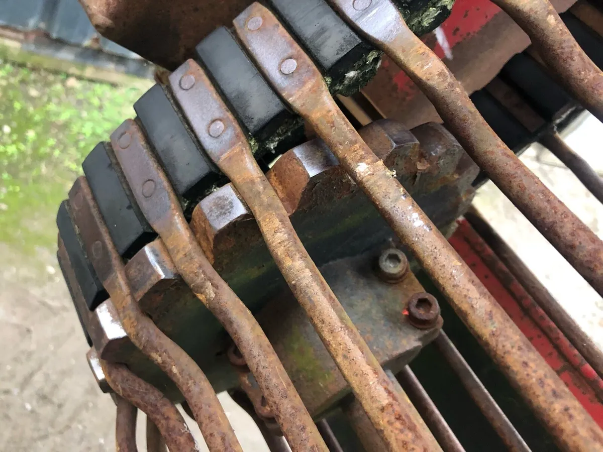 Beet Cleaner Loader - Image 4