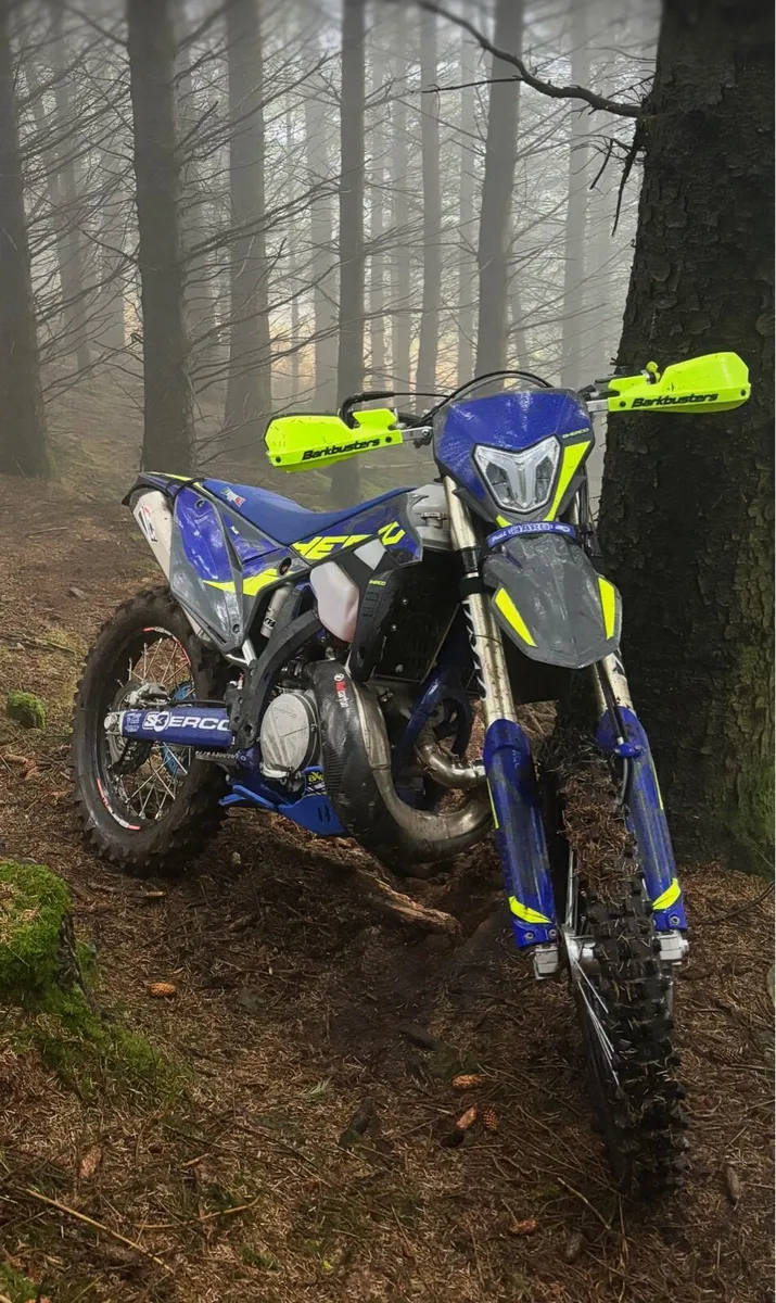 Sherco SE300 Factory 2024