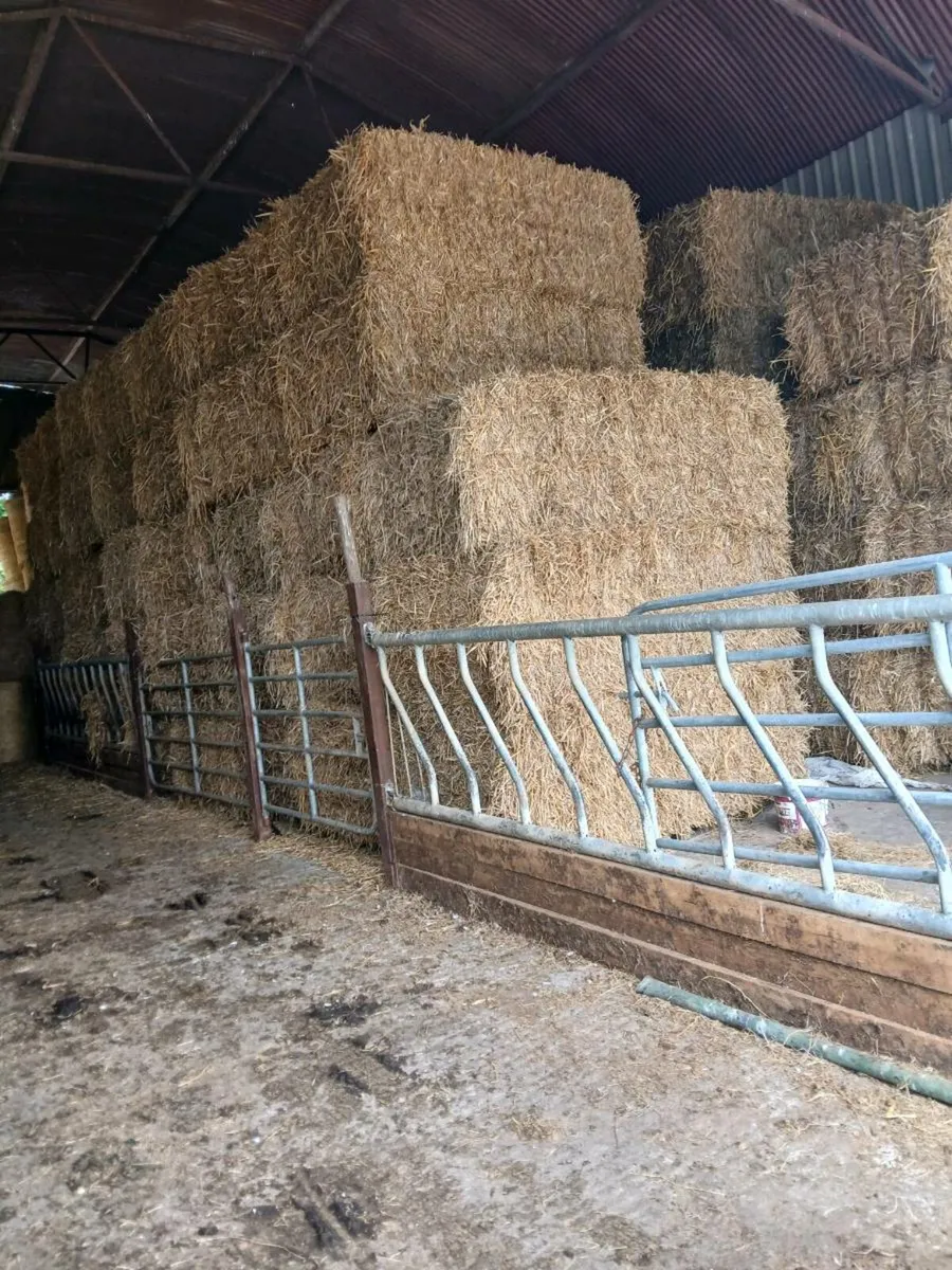 Straw delivered round and square - Image 2