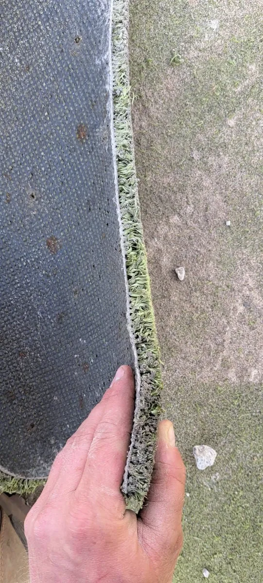 Astro Turf (Free to Collect) - Image 1