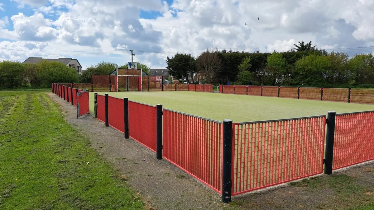 Astro Turf (Free to Collect) - Image 2