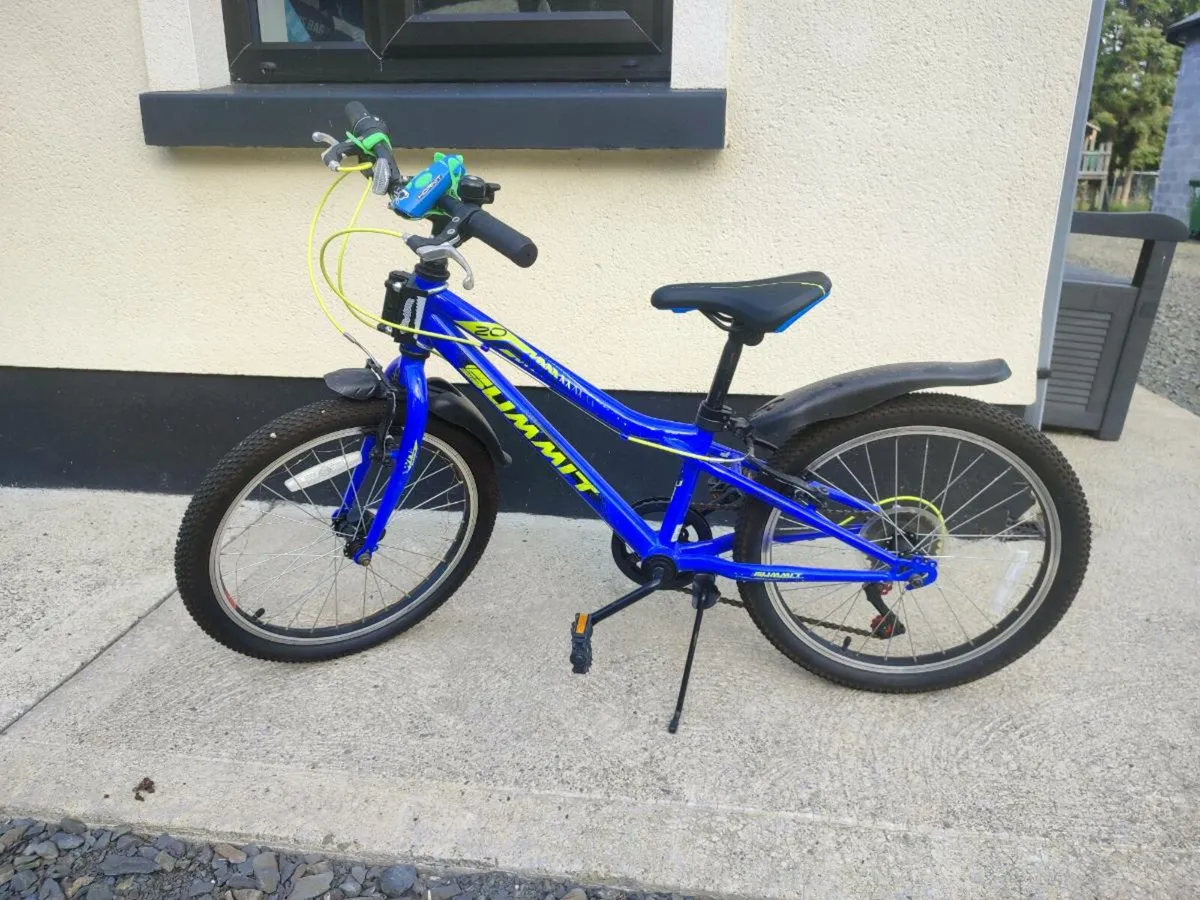 Summit 20 inch boys bike - Image 1