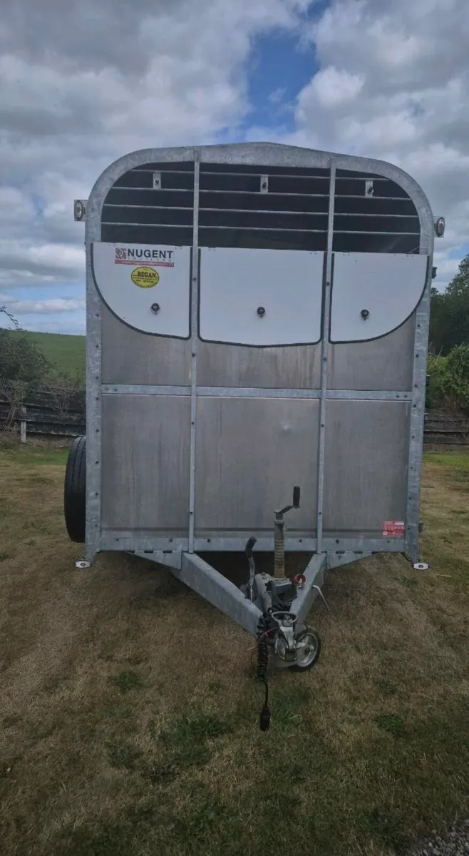 Nugent 12 x6,7 horse/cattle trailer 2019 highroof - Image 2