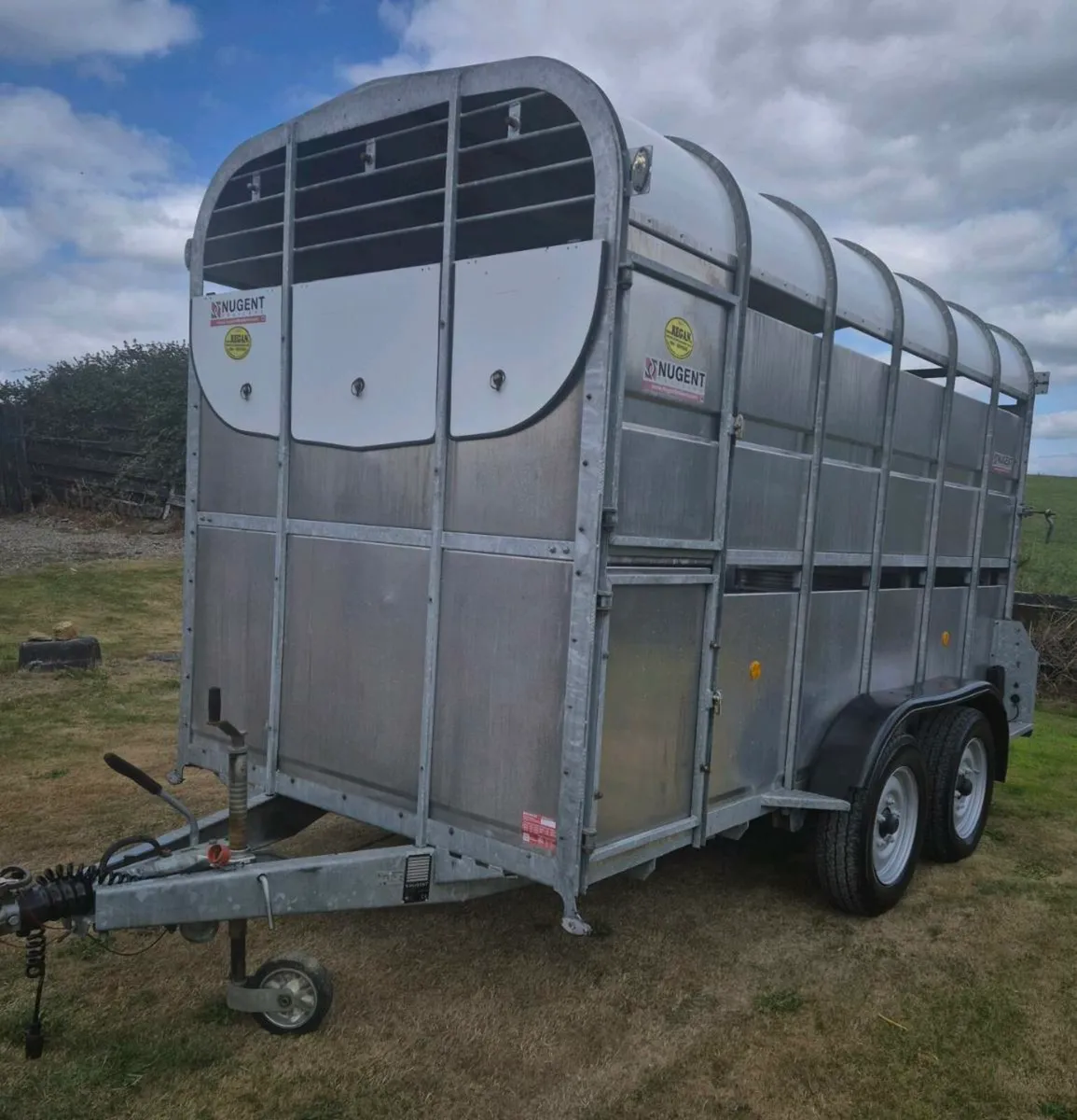 Nugent 12 x6,7 horse/cattle trailer 2019 highroof - Image 3