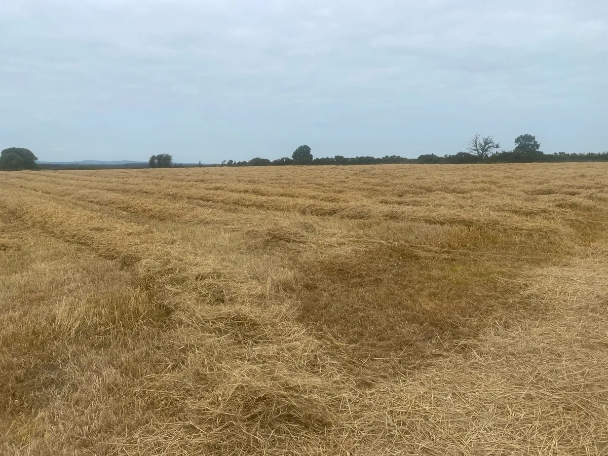 Oaten