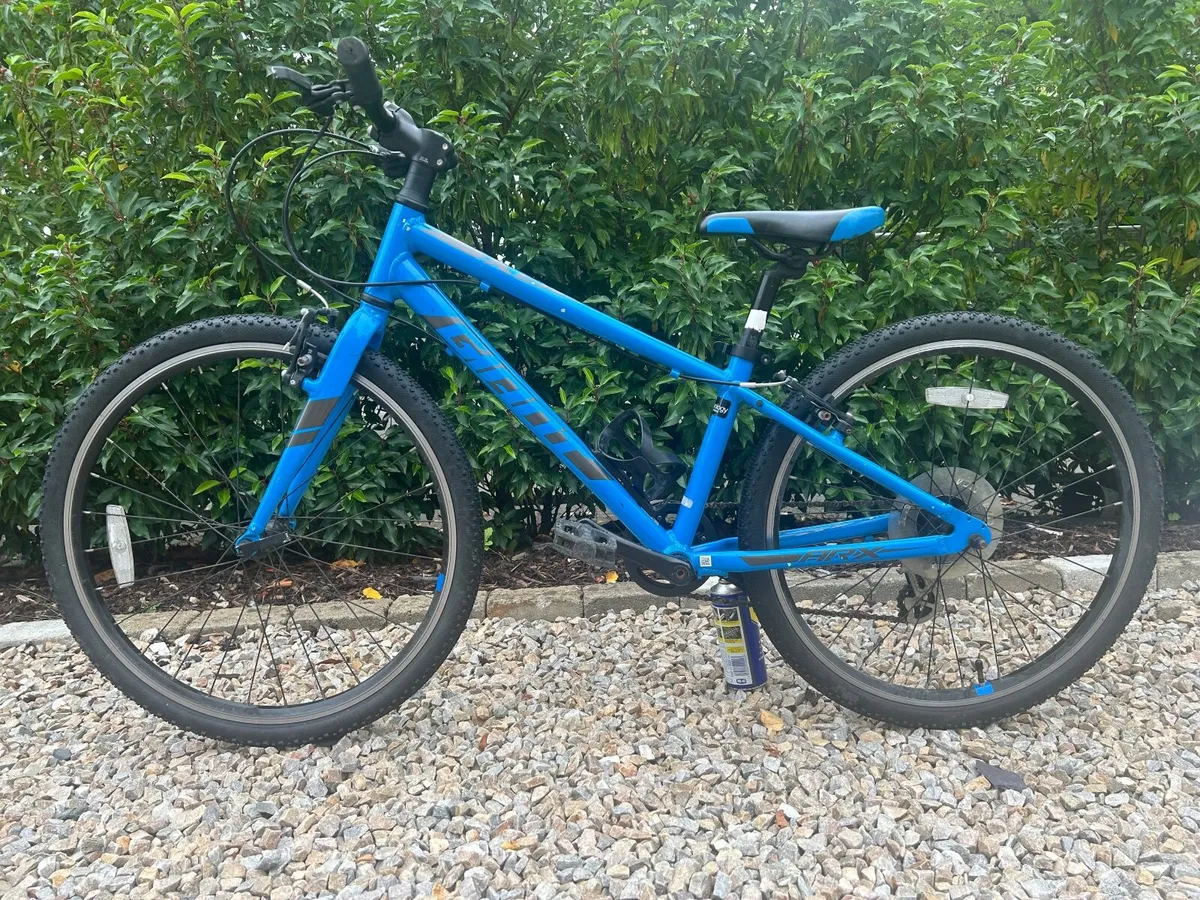 Giant ARX kids bike 20 inch - Image 1
