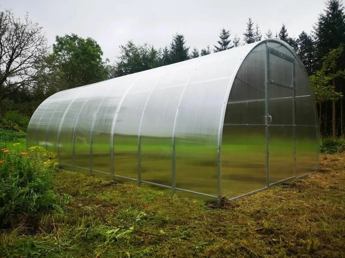 TITAN 3 Polycarbonate Greenhouse/Polytunnel - Image 4