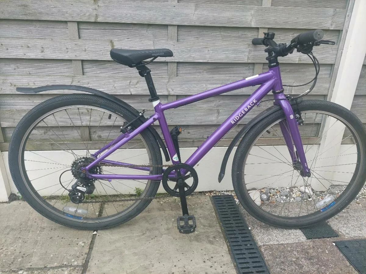 Ridgeback Bicycle (26") - Image 1