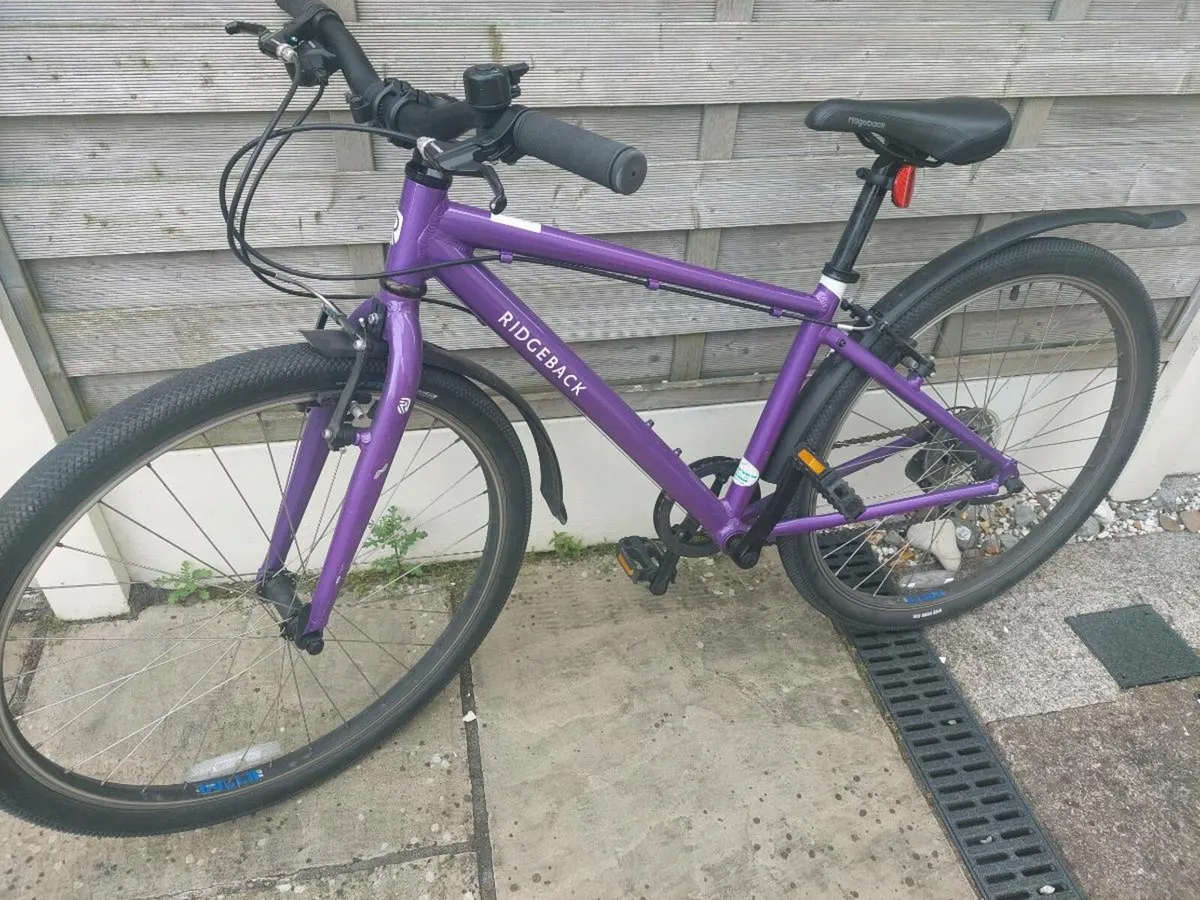 Ridgeback Bicycle (26") - Image 4