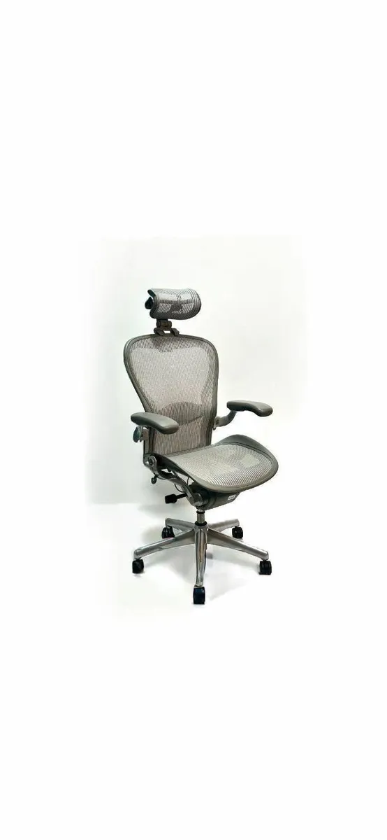 Herman Miller Aeron Chair with Headrest (Size C) - Image 1