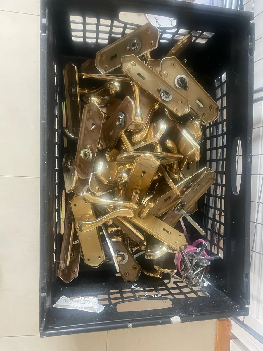 Brass Door Handles (27)