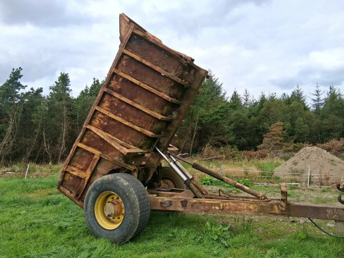 Dump trailer 10 ton - Image 1