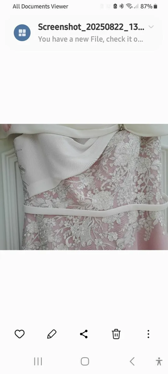 Mother of the bride dress  designer VENI INFANTINO - Image 2
