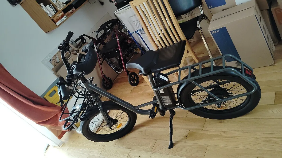 Cargo ebike - Image 1