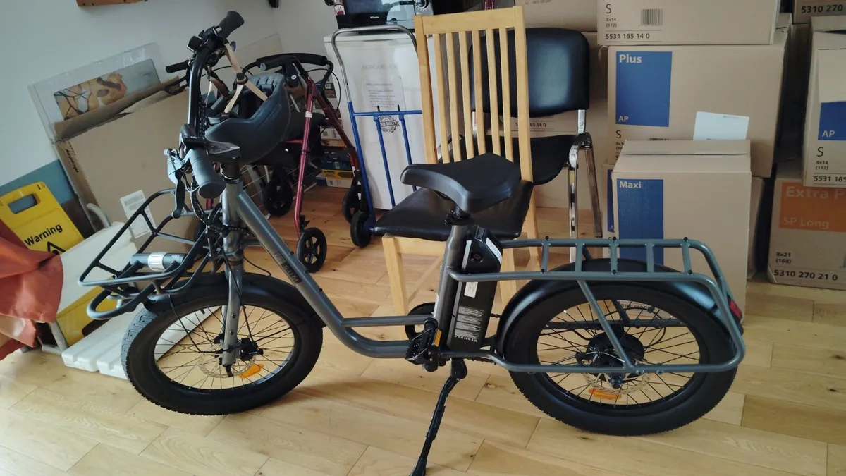 Cargo ebike - Image 2