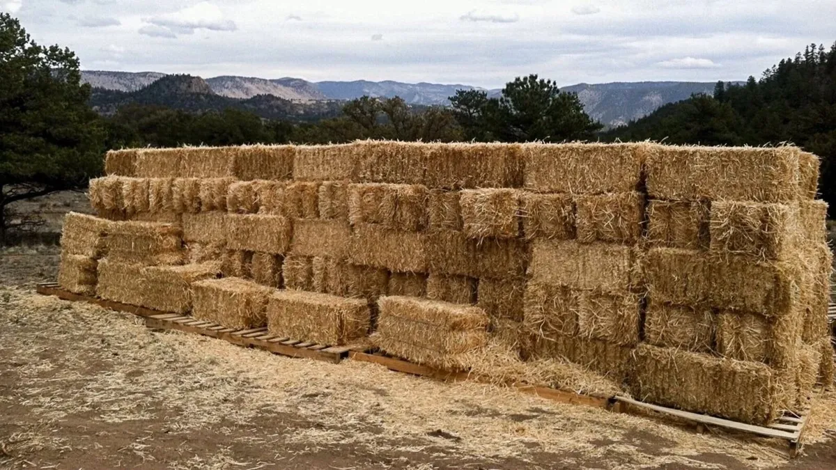 Wanted straw